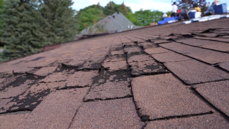  Laguna Beach, CA Roofing Service Pros