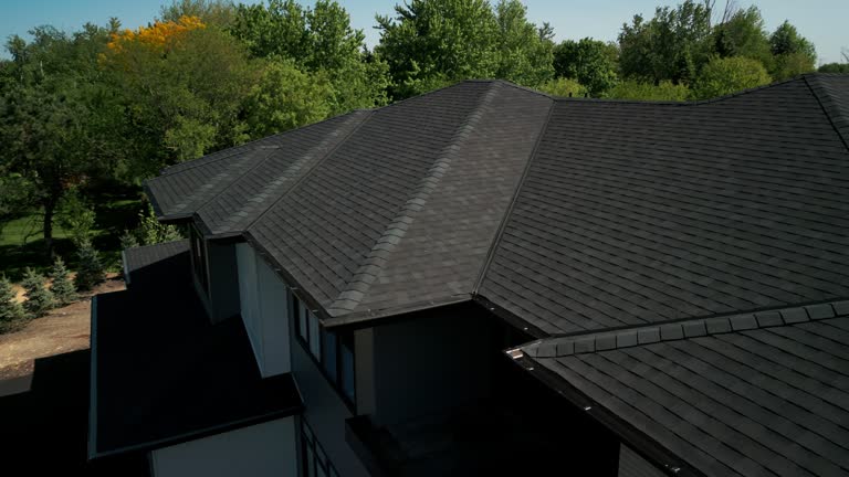 Best Roof Moss and Algae Removal  in Laguna Beach, CA
