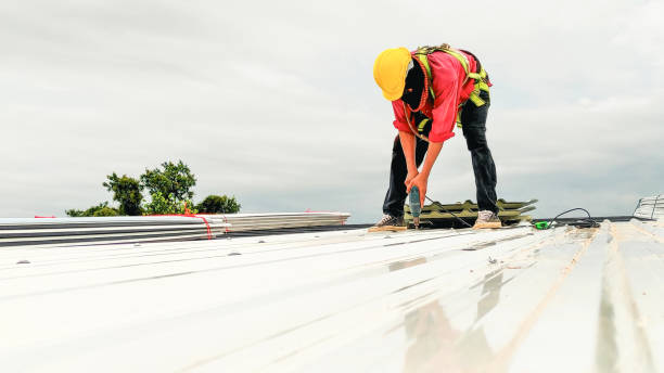 Best 4 Ply Roofing  in Laguna Beach, CA