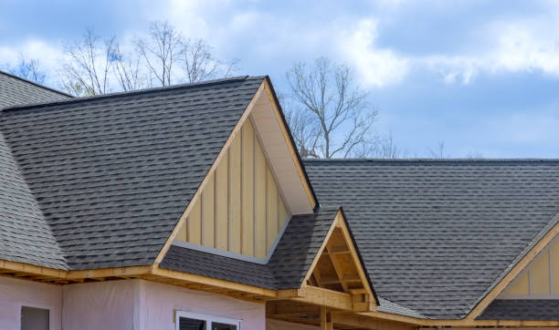 Best Skylight Installation and Repair  in Laguna Beach, CA