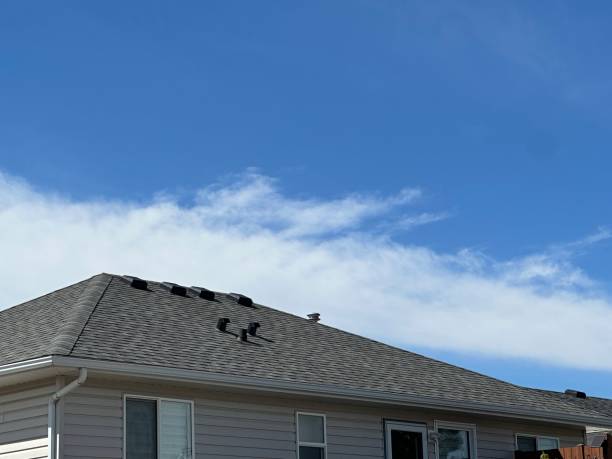 Best Solar Panel Roofing Installation  in Laguna Beach, CA